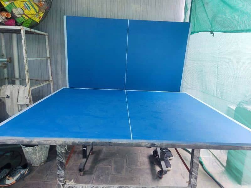 table tennis table 2
