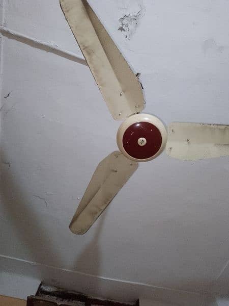 3 fans urgent for sale 3