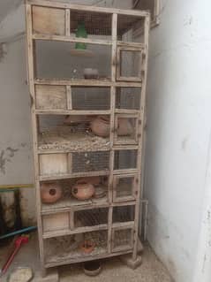 Cage For Sale 0