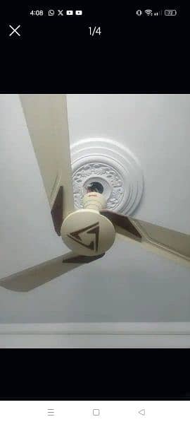 ceiling & Wall Fans 3