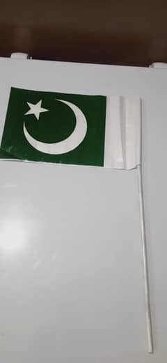 Small pakistan Flags