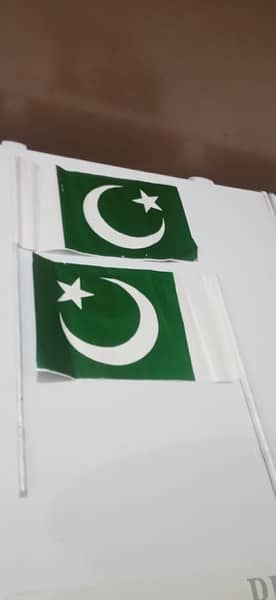 Small pakistan Flags 1
