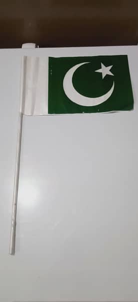 Small pakistan Flags 2