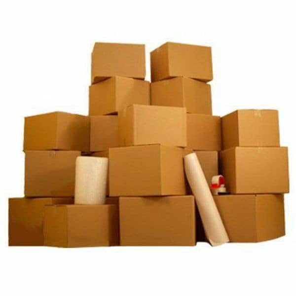 Carton Box/Customised Boxes/Mango Box/Shoe Box/Moving shifting box 1