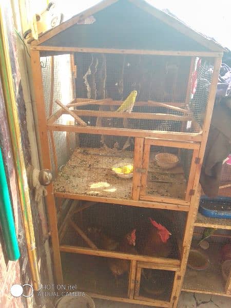 2 portion cage for sale (urgent sale) 0