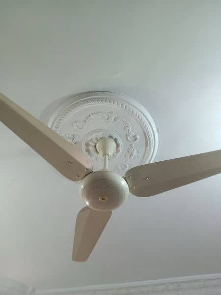 SK Fan just like new 0