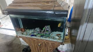 Aquarium 2.5ft width with stand,1 fish and filter