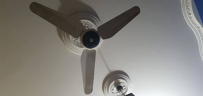 AC ceiling fans 2