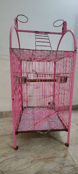 bird cage 4