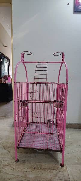 bird cage 5
