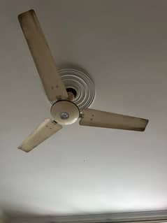Royal, Lahori,Sk fans are up for sale 0