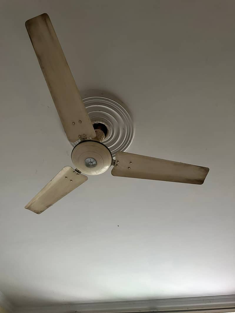 Fans | Ceiling fans | Royal | Lahori | Pakfan fans are up for sale 0