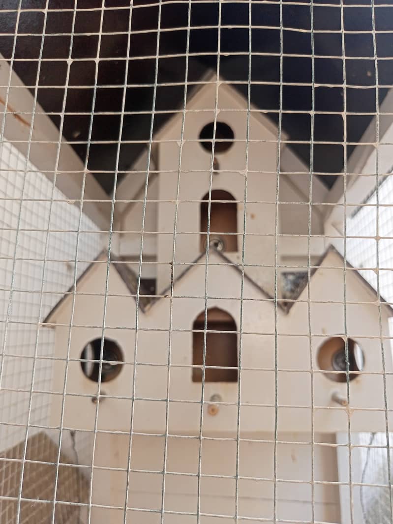 Stylish Italian wood cage with 2 pair Finch 5