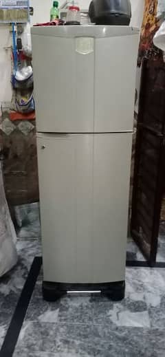 no fras fridge 10 by 10 condition