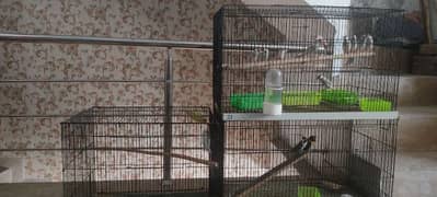 4 portion folding cage size 2.5 by 1.5 0