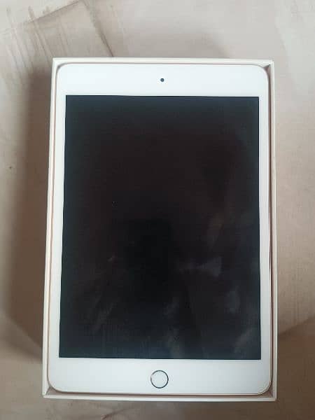 ipad mini 5.64gb 4