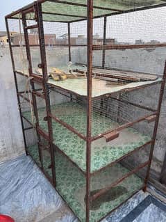 hens cage available reasonable price