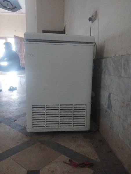 PEL Deep Freezer 2 Door 1