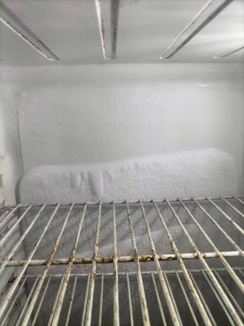 Best Colling freezer and fridge 1