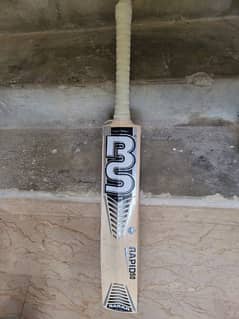 BS and SS bat