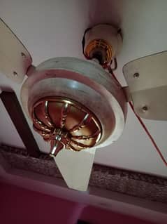 Ac Dc Ceiling fan 100% Copper  for ugent Sale