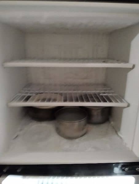 PEL refrigerator 5