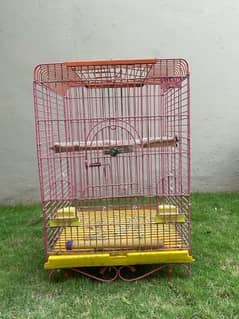 Raw Grey parrot cage