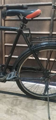 cycle BMX shorab