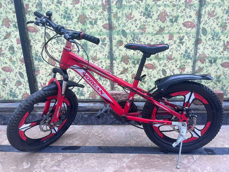 Morgan bicycle gears wali 0