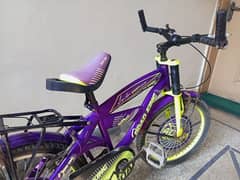 Road king cycle for kids