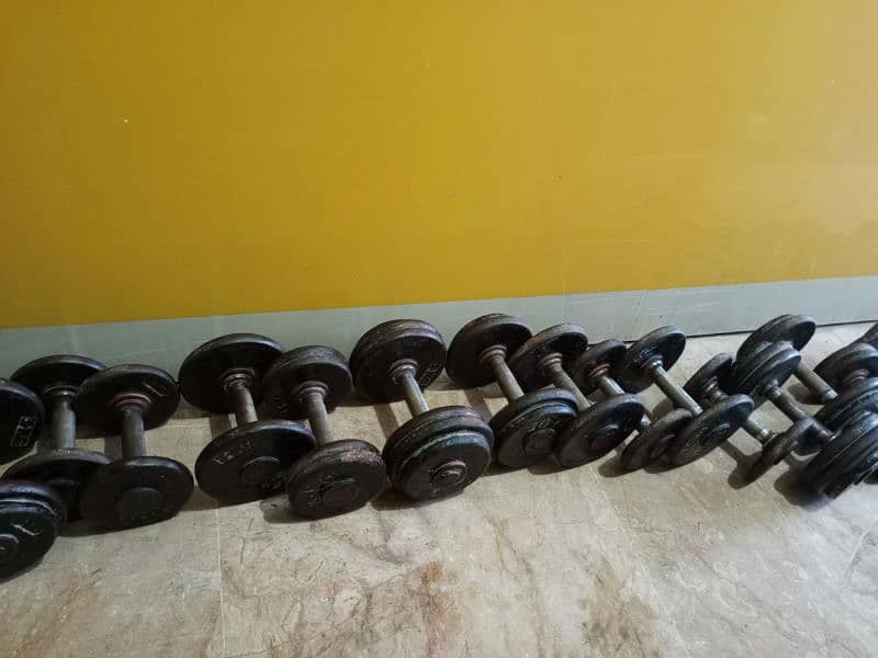 300kg dumbbells 2