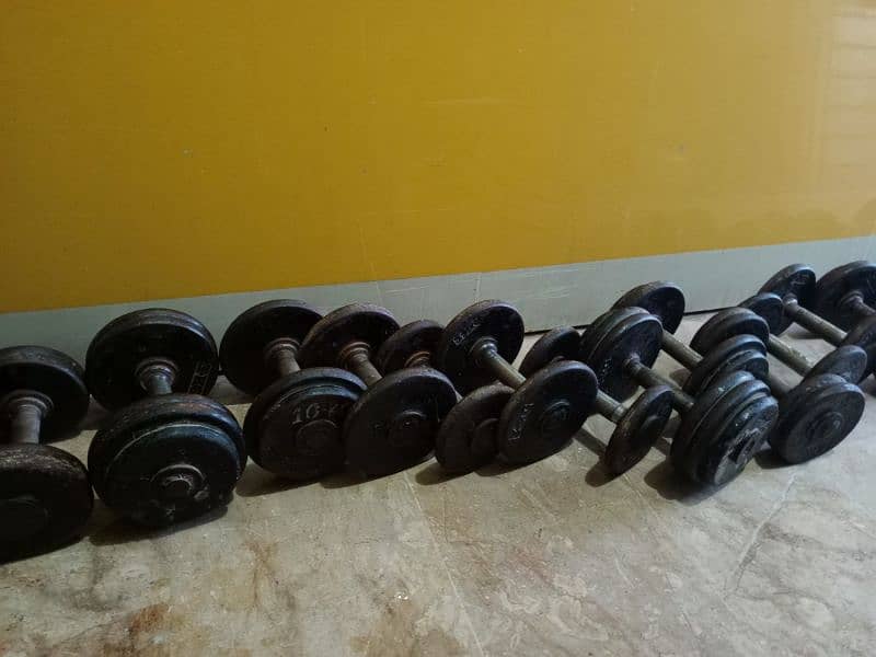 300kg dumbbells 4