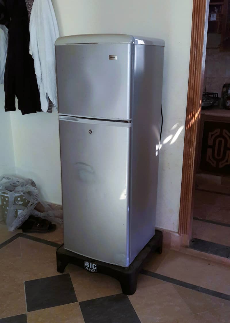 Hair Refrigerator for Sale 1