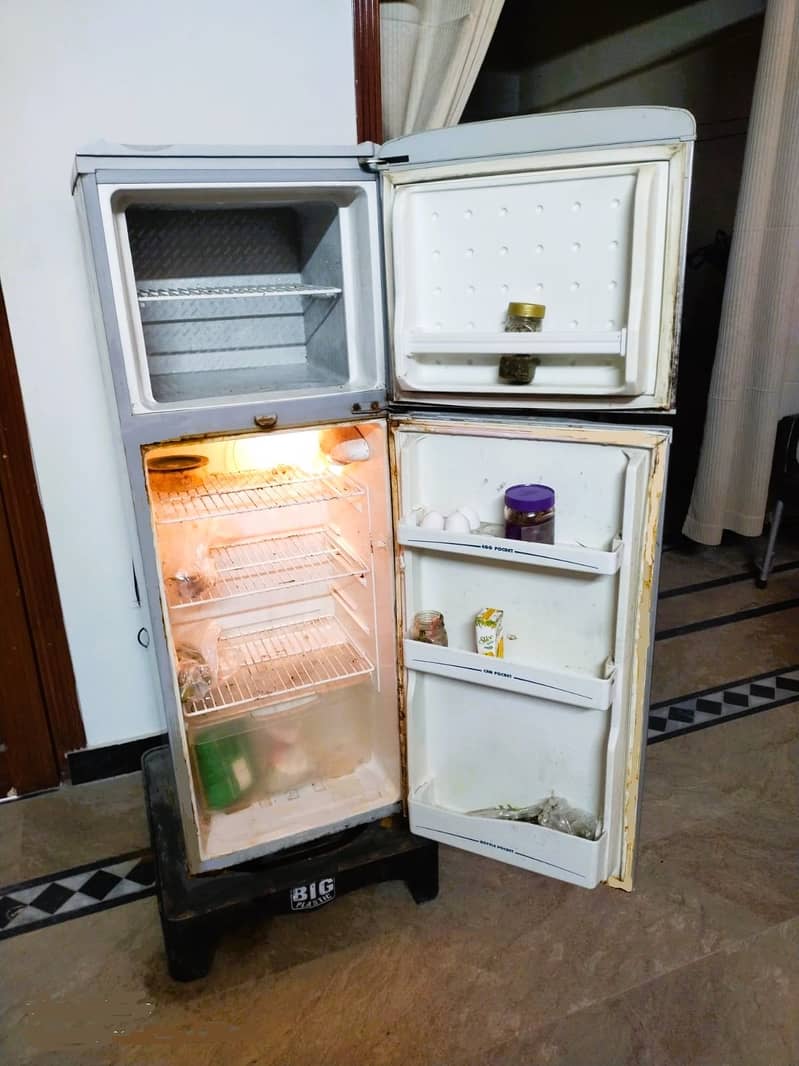 Hair Refrigerator for Sale 2