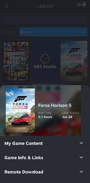 100% Steam Original Games Gta 5 Forza Horizon 5 and Theif Simulator 1