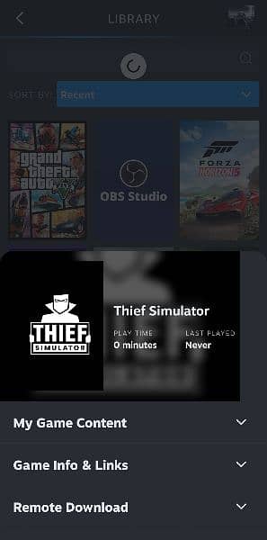 100% Steam Original Games Gta 5 Forza Horizon 5 and Theif Simulator 4