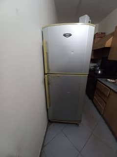 haier large size fridge contact 03062522839 0