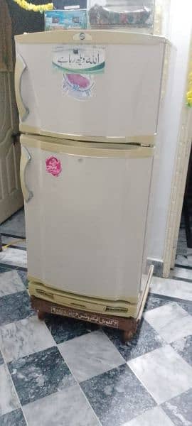 PEL refrigerator 20140 in excellent condition for sale 4