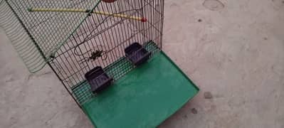 parrot house for sell 0