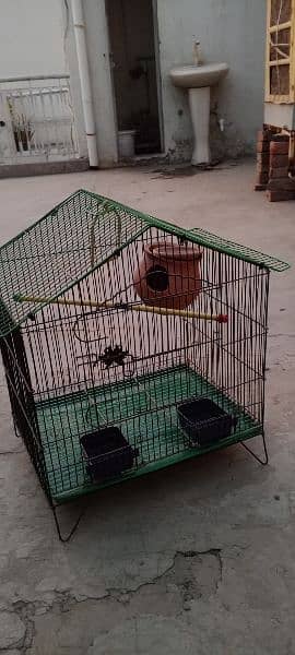 parrot house for sell 2