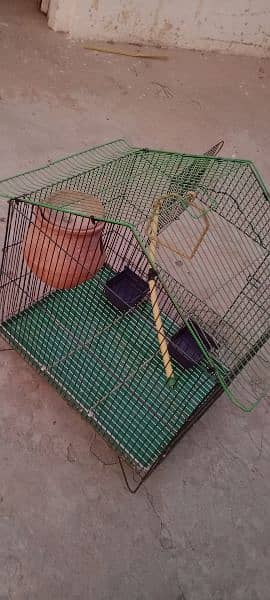 parrot house for sell 3
