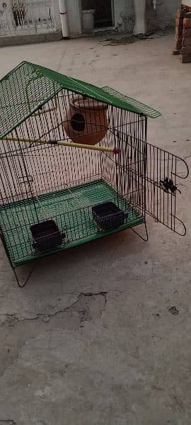 parrot house for sell 4