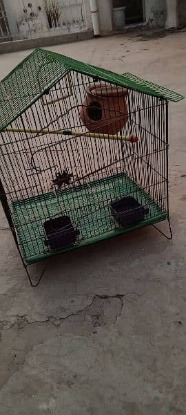 parrot house for sell 5