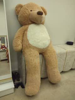 Big Teddy Bear 0
