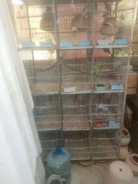 Cage For Sale 1