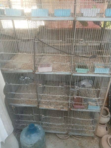 Cage For Sale 2
