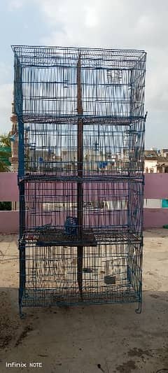 cage love birds