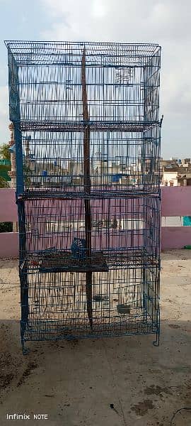 cage love birds 2