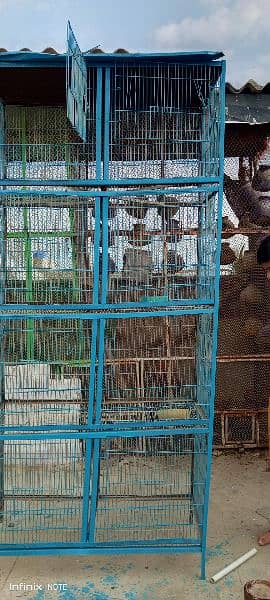 cage love birds 5