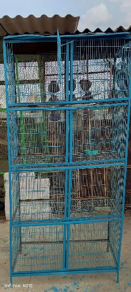 cage love birds 7